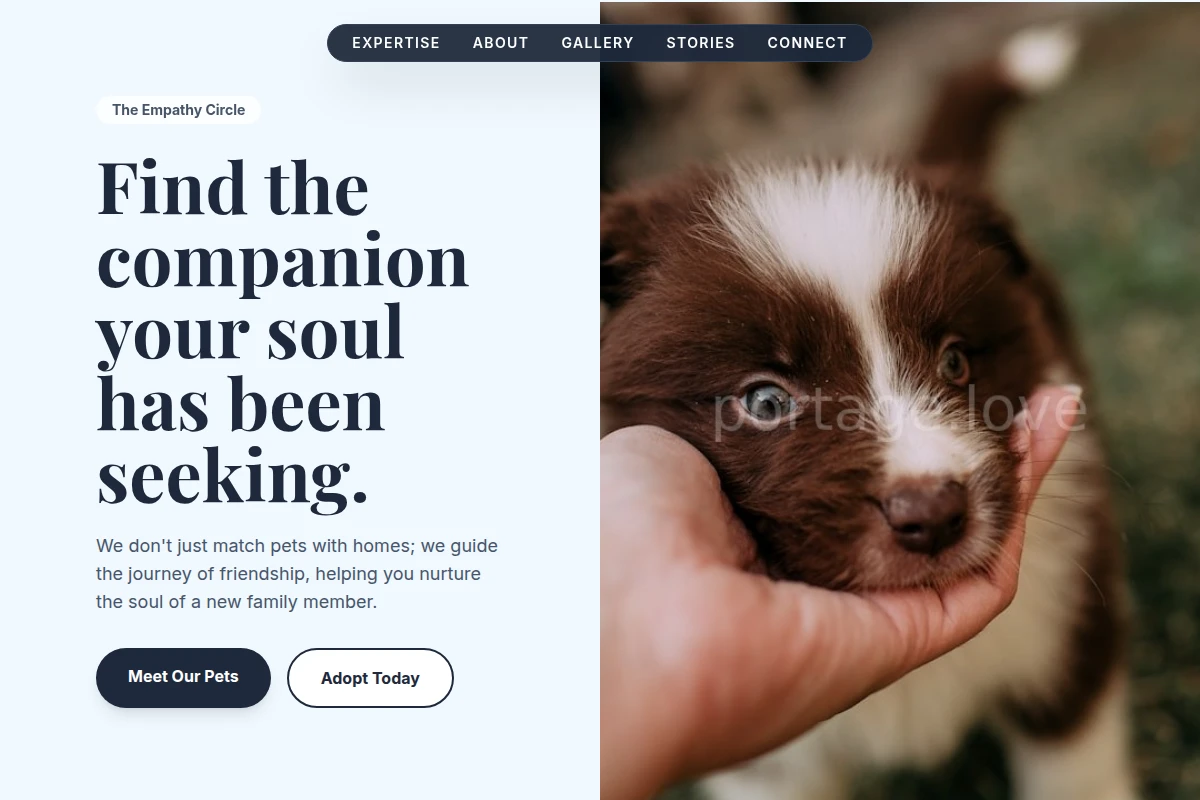 pet-adoption