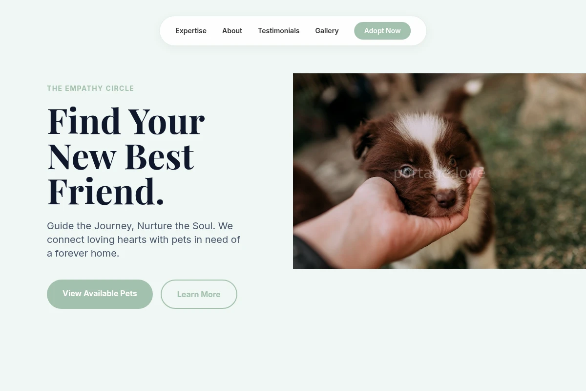 Shadow Pet Adoption